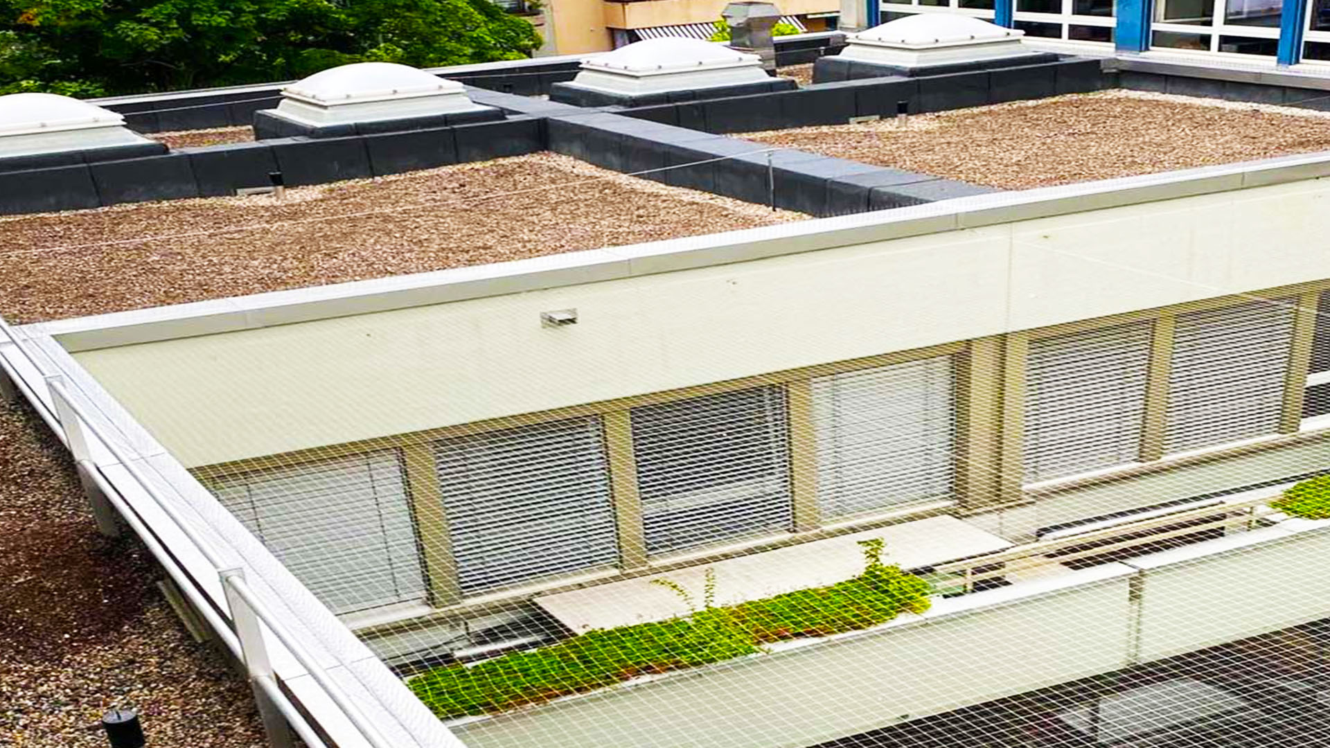 Dach- und Fassadenbereich eines Gebäudes als typischer Einsatzort für die professionelle Taubenabwehr in Basel Land