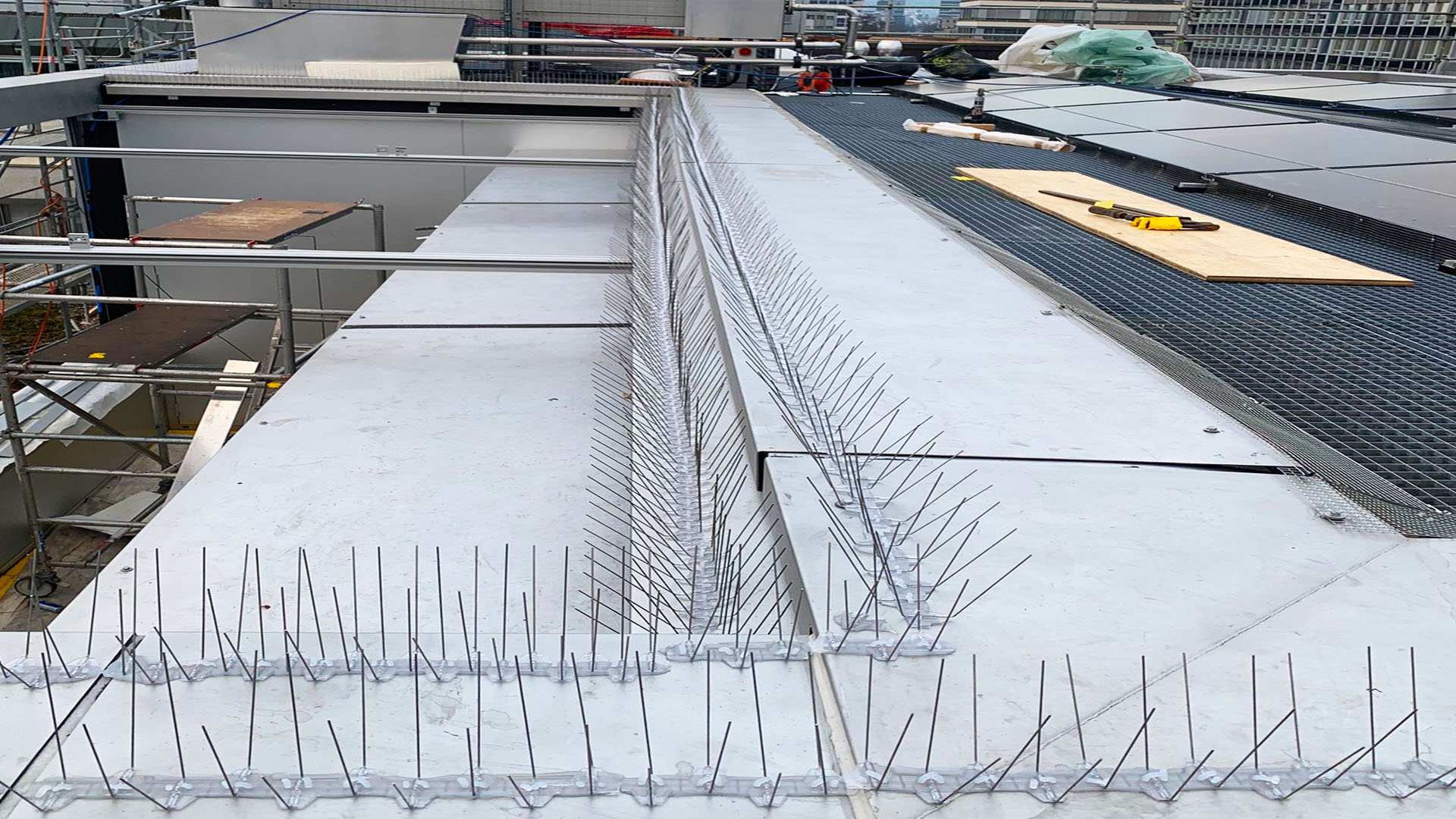 Edelstahlspikes an einer Dachkante als bauliche Lösung für die professionelle Taubenabwehr in Binningen