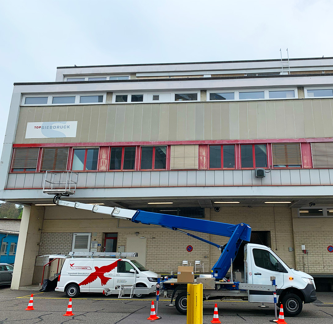 Suisse-Birds-Fahrzeug und Hubarbeitsbühne vor einer Gewerbehalle