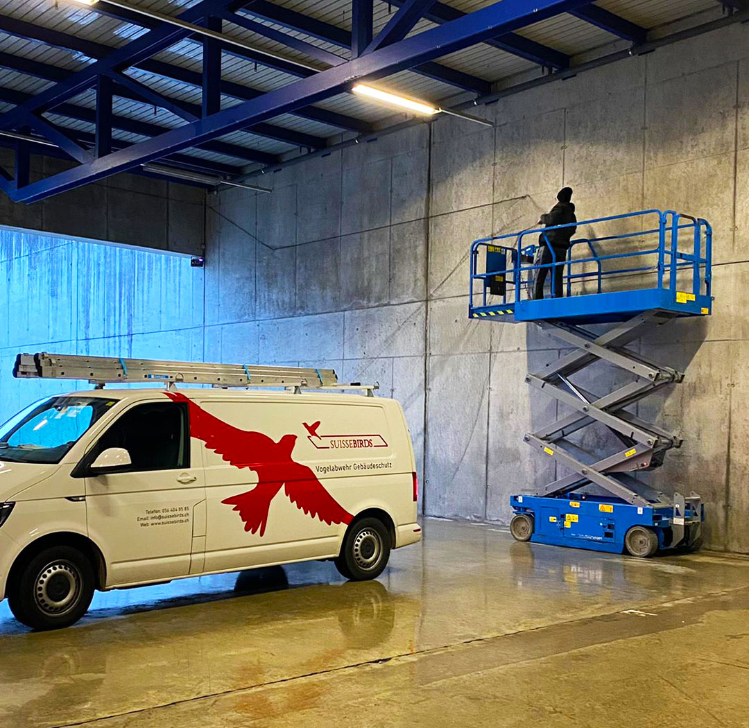 Suisse-Birds-Fahrzeug und Scherenarbeitsbühne bei Arbeiten an einer Hallenwand