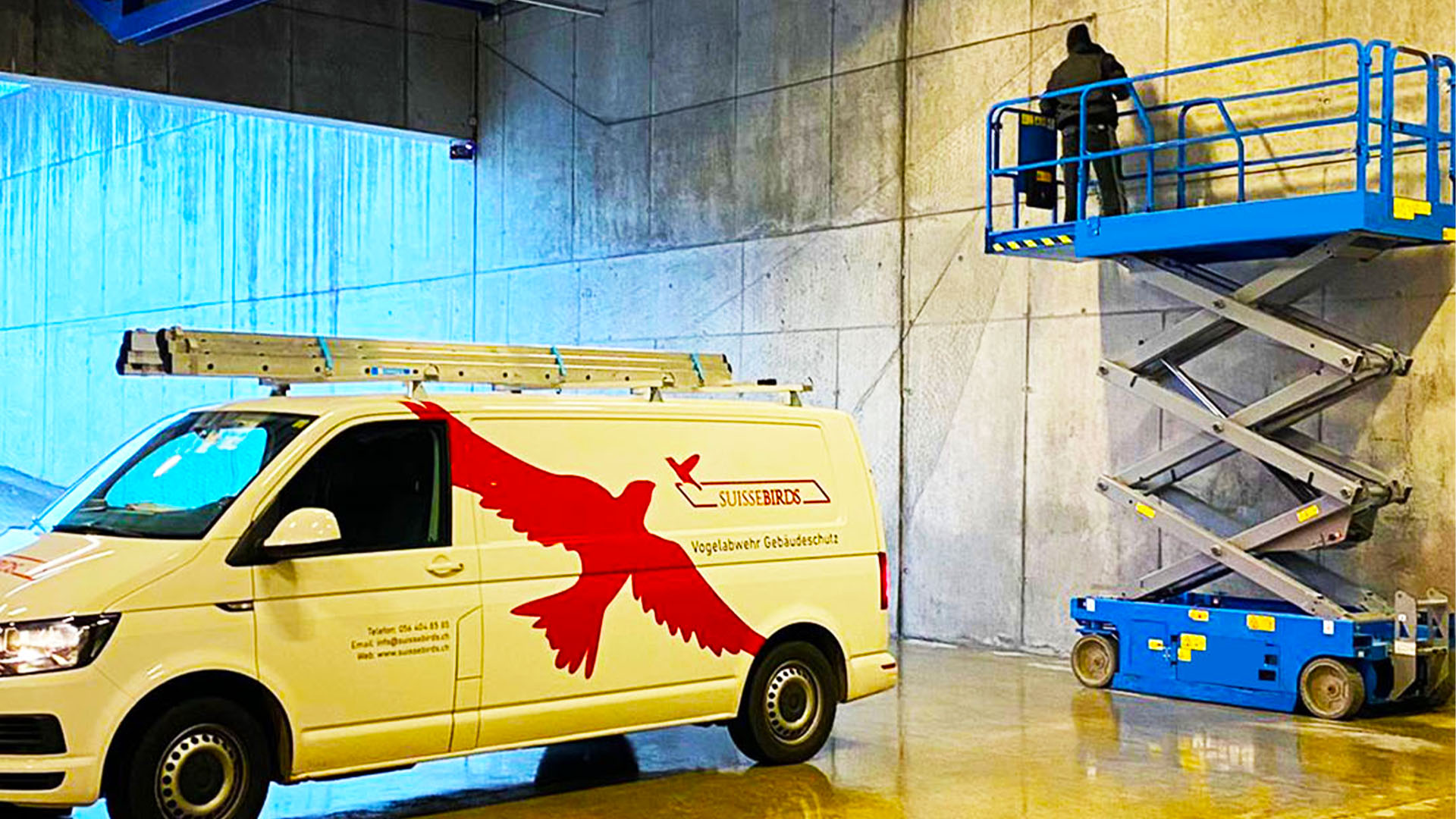 Tiefgarage beziehungsweise Innenbereich als typischer Einsatzort für die professionelle Vogelabwehr in Wädenswil