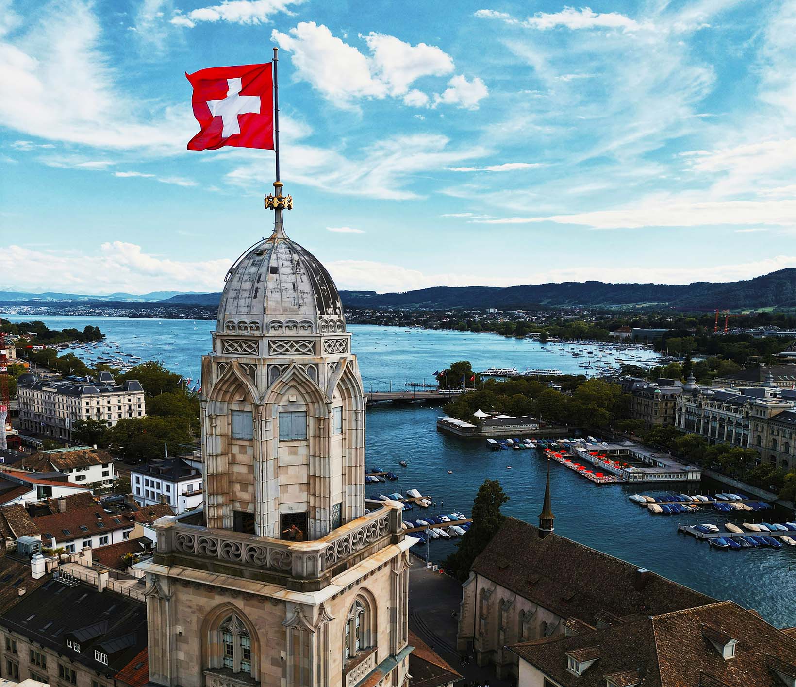Brutzeit von Vögeln im Storenkasten in der Schweiz – Suisse Birds