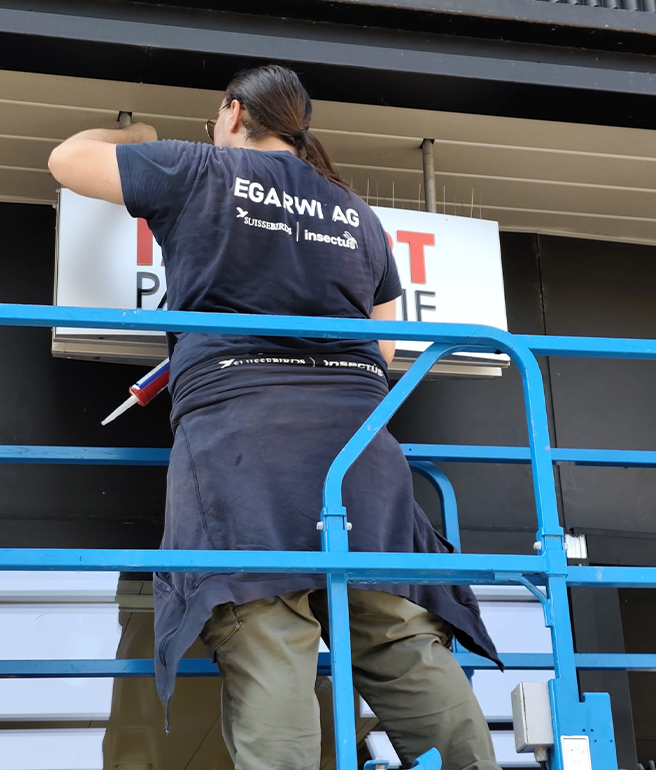 Referenzprojekt Taubenabwehr an Werbeschildern in Baden AG