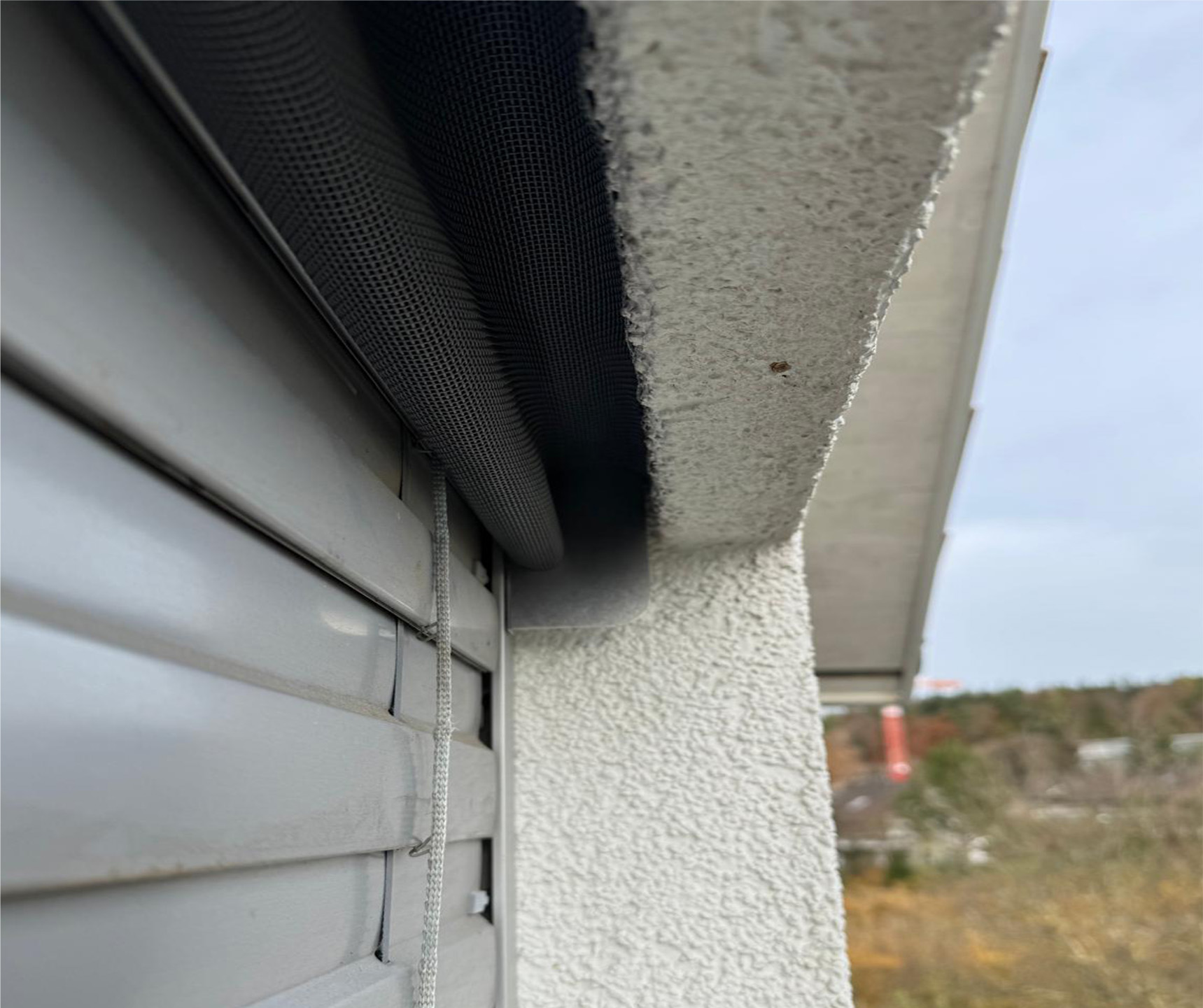 Tipp zur Beobachtung eines Vogelnests im Storenkasten