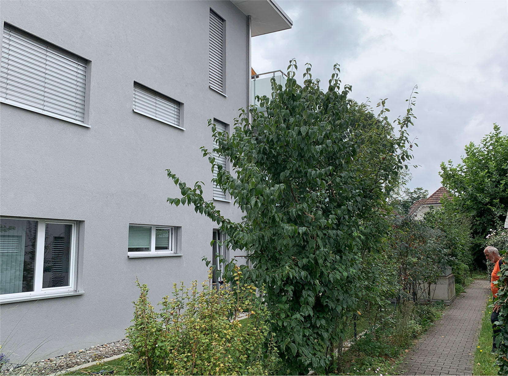 Verlassenes Vogelnest im Storenkasten erkennen